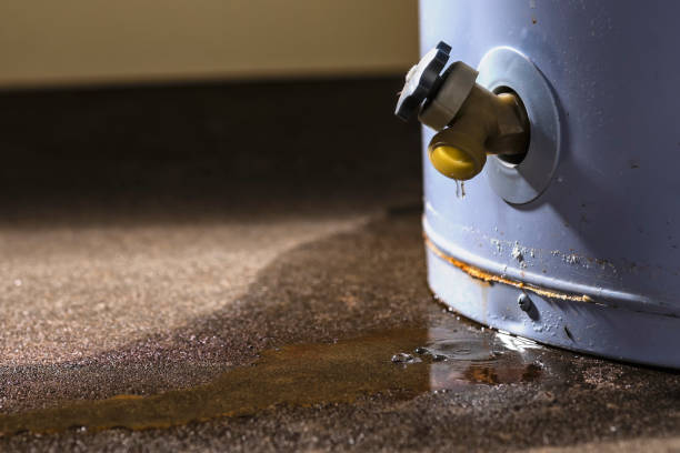 Best Commercial water damage restoration  in Canton, IL