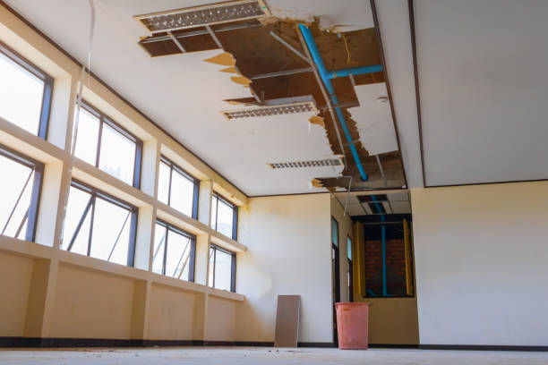 Best Water damage restoration process  in Canton, IL