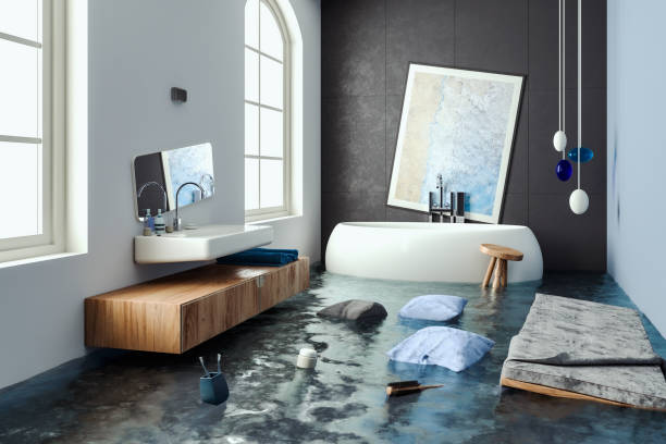 Best Mold removal after water damage  in Canton, IL