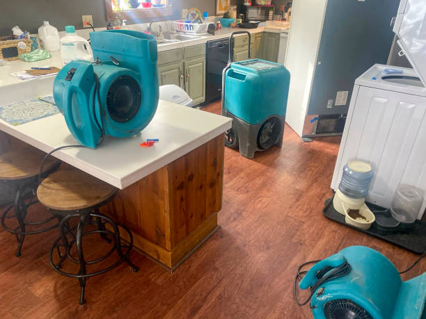Best Water damage restoration near me  in Canton, IL