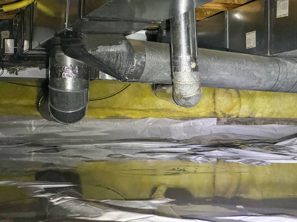 Best Flooded house restoration  in Canton, IL