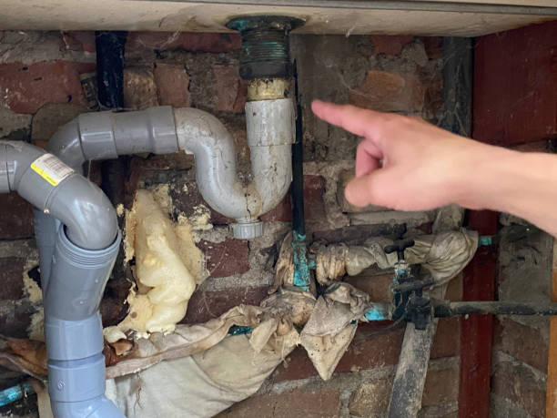 Best Water damage restoration near me  in Canton, IL