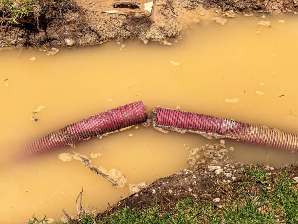 Water damage restoration insurance claims in IL