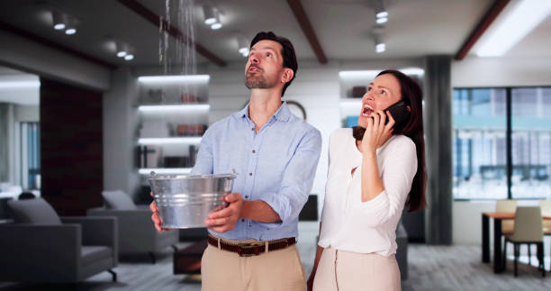 Best Local water damage restoration  in Canton, IL